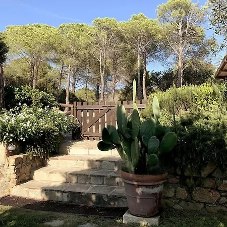 Blu - Con Vista E Accesso Privato Sul Mare 别墅 *